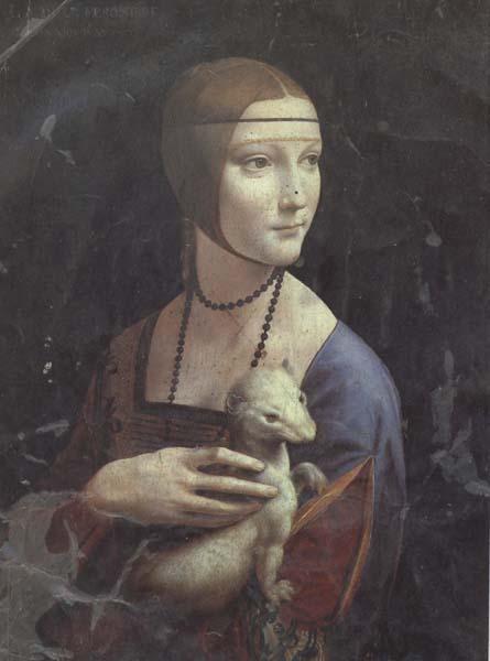 LEONARDO da Vinci Cecila Gallerani (mk45) oil painting image